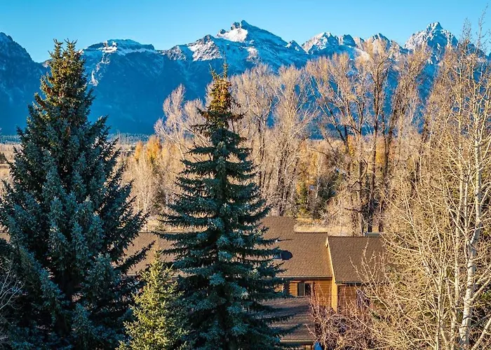 Wister C * Teton Village